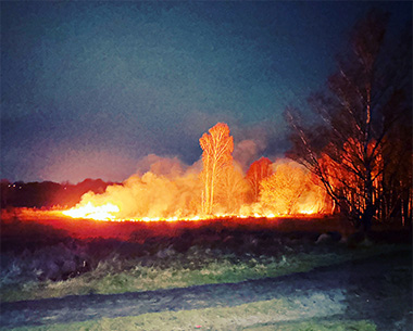 Brand einer Gras- und Heidefläche im Wittmoor