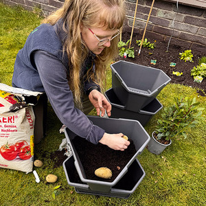 Kartoffeln pflanzen leicht gemacht: Der Kartoffelturm ist ideal für kleine Gärten und Balkone – und verspricht eine reiche Ernte!