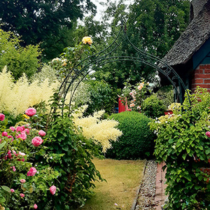 Im Sommer macht der Garten dem Namen der malerisch gelegenen „Rosenkate“ alle Ehre.